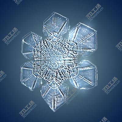 images/goods_img/2021040231/Snow flakes/5.jpg